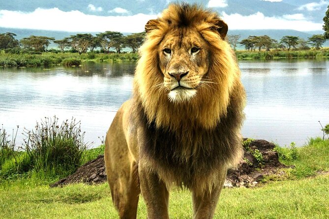 Lake Nakuru Day Trip From Nairobi - Drop-off at Hotel