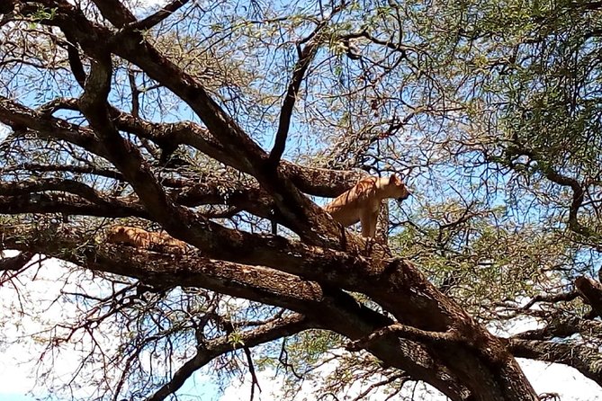 Lake Nakuru National Park; Admission Ticket - Ticket Redemption Point