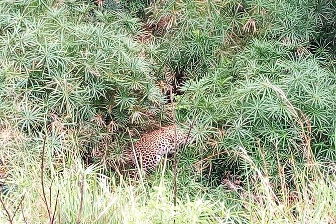 Lake Nakuru National Park; Admission Ticket - Confirmation Process