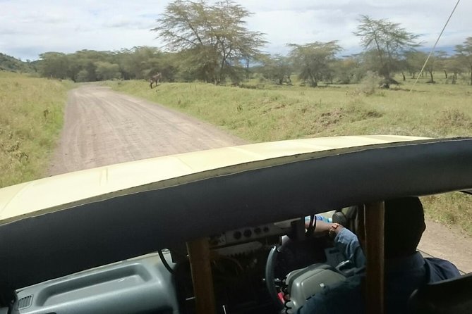 Lake Nakuru National Park Day Tour From Nairobi - Good To Know
