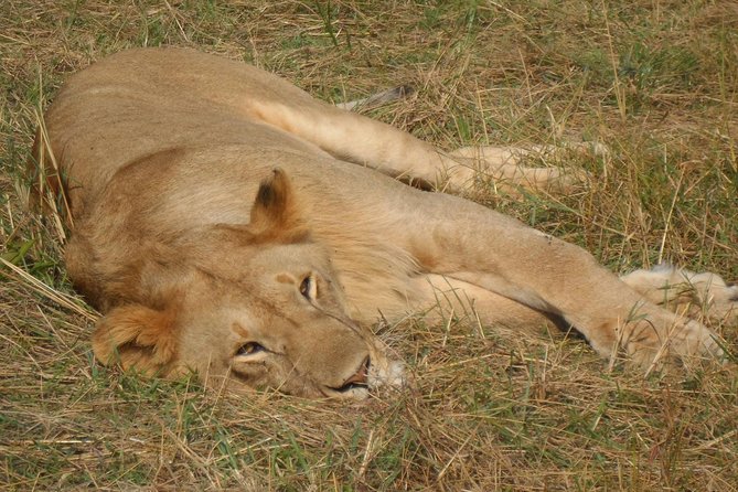 Lake Nakuru National Park Day Tour Via Lake Naivasha - Frequently Asked Questions