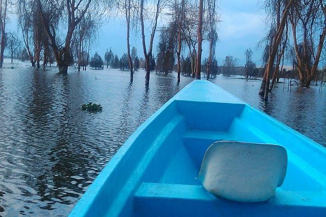 Lake Nakuru National Park Day Tour Via Lake Naivasha - The Sum Up