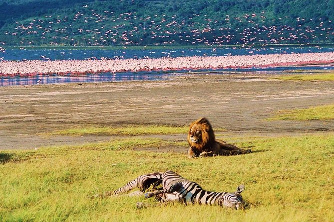 Lake Nakuru National Park: Day Trip From Nairobi - Directions and Transport Options