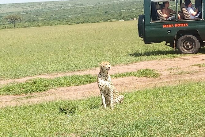 Lake Nakuru National Park Express Day Trip - Price and Savings
