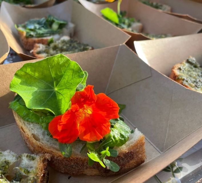 Lake Nemi: SUP Course and Food Tasting at the Lake - Good To Know