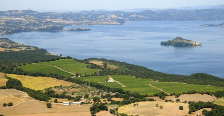 Lake of Bolsena: Private Cellar Tour and Wine Tasting - Booking Details