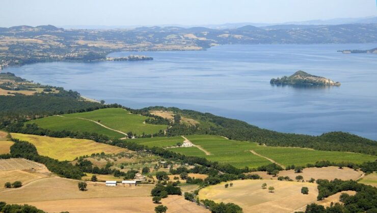 Lake of Bolsena: Private Cellar Tour and Wine Tasting - Experience