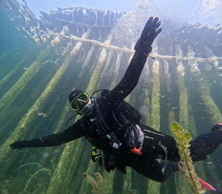 Lake Ohrid: Try Diving at the Bay of the Bones - Discovering Lake Ohrid’s Underwater Charm