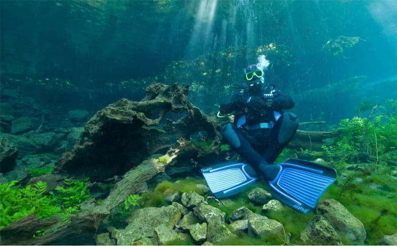 Lake Ohrid: Try Diving at the Bay of the Bones - The Experience of the Environment