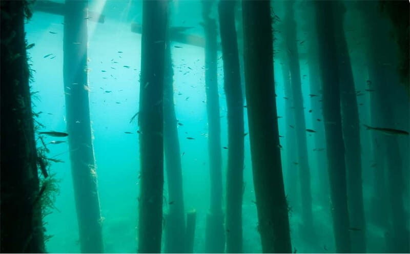 Lake Ohrid: Try Diving at the Bay of the Bones - Additional Tips for a Smooth Experience