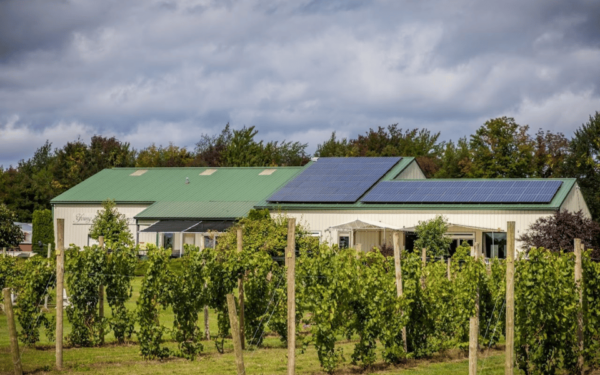 Lake Ontario Wine Trail - Sample Varieties and Quantities
