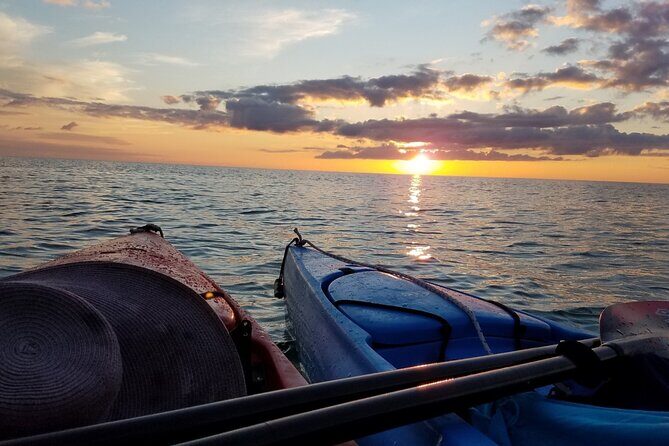 Lake Osborne Gator Watch Tour - Exploring Lake Osborne: What Makes This Area Special