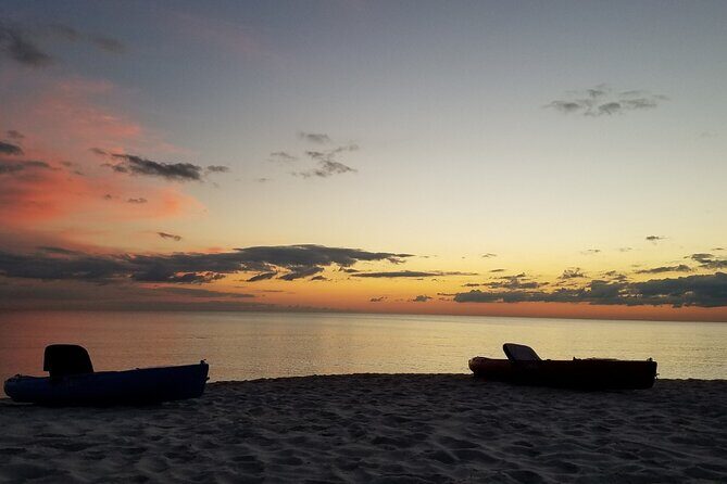 Lake Osborne Gator Watch Tour - Authentic Encounters and Practical Insights