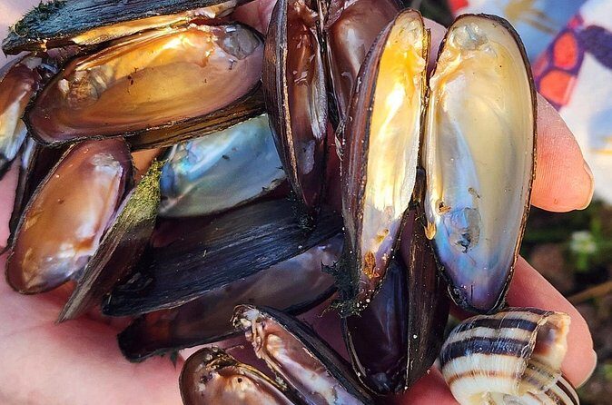 Lake Osborne Gator Watch Tour - Who Will Love This Tour?