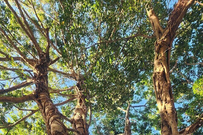 Lake Osborne Gator Watch Tour - Final Thoughts: Is It Worth It?