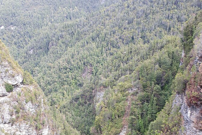 Lake Pedder Wilderness and Gordon Dam Small Group Tour - Tour Inclusions