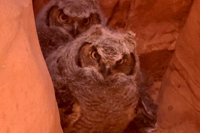 Lake Powell Kayak and Water Antelope Canyon Hike Guided Tour - Final Thoughts: Who Will Love This Tour?