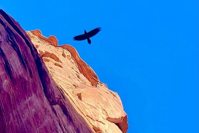 Lake Powell Kayak and Water Antelope Canyon Hike Guided Tour - Frequently Asked Questions