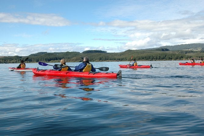 Lake Rotoiti Guided Hot Pools Kayak Trip - Pickup Points