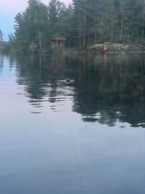 Lake Saimaa story cruise by Ecoboat in Puumala - Authenticity and Value