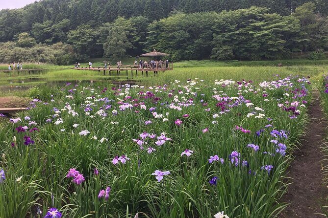 Lake Shidaka and Lake Kagurame Nordic Walking Tour - FAQs