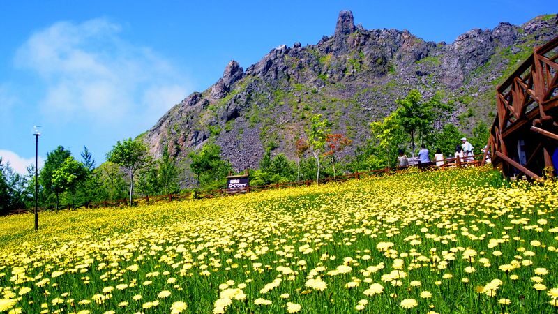 Lake Shikotsu & Toya Bus tour / TV Tower Ticket (Multilingual Audio) - Who should book this Hokkaido day trip?