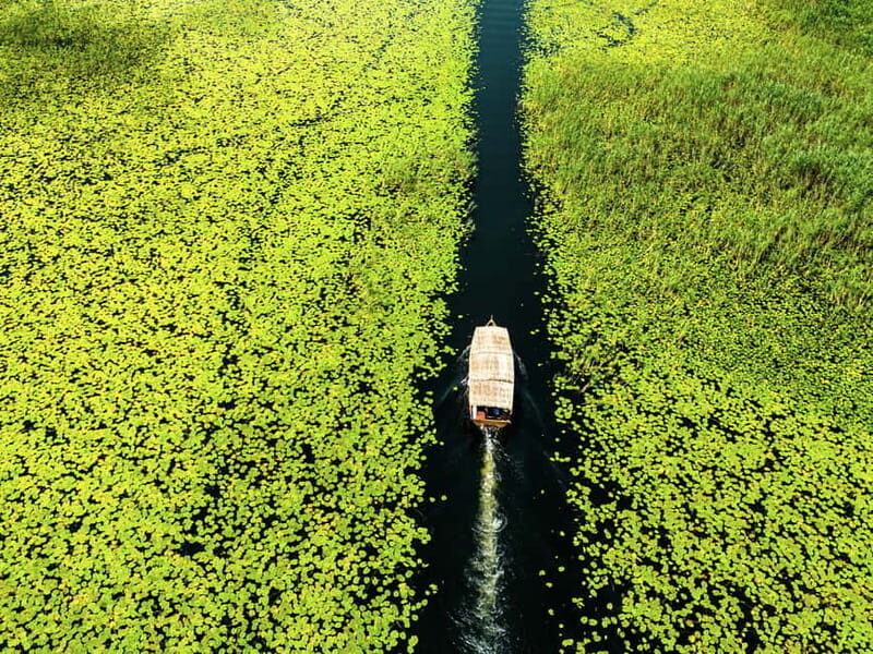 Lake Skadar: Guided Sightseeing Boat Tour with Drinks - Why This Tour Offers Great Value