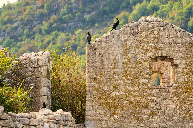 Lake Skadar Guided Tour: Discover the Montenegrin Alcatraz - Price and Reviews