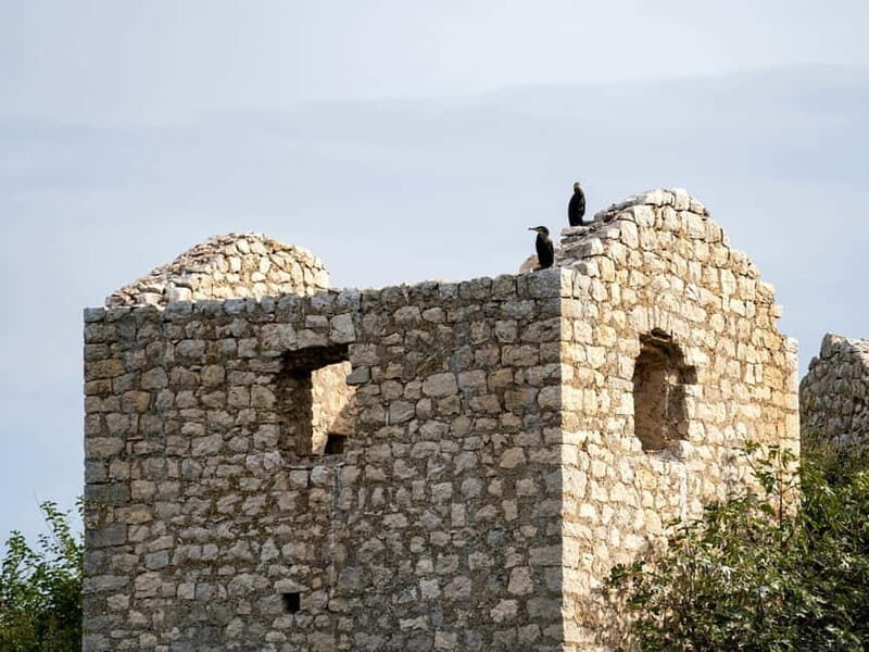 Lake Skadar: Short Boat Tour to Grmour Fortress with Drinks - Good To Know