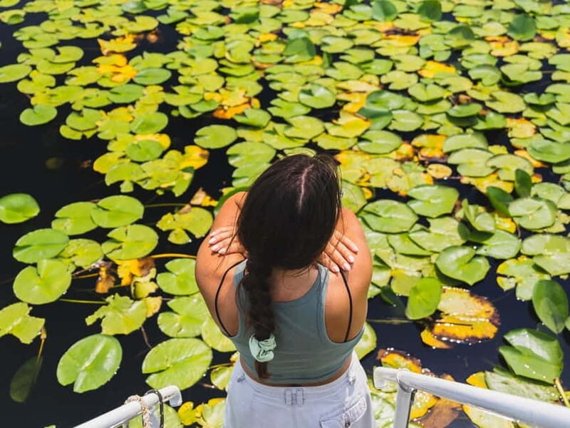 Lake Skadar: Visit the Montenegrin Venice - An In-Depth Look at the Lake Skadar Boat Tour