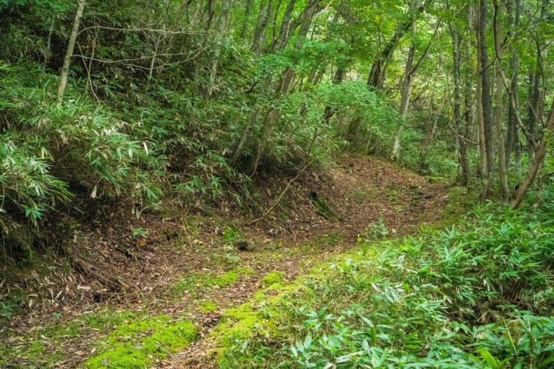 Lake Tachibana: Hike to a hidden lake! - An In-Depth Look at the Lake Tachibana Hike