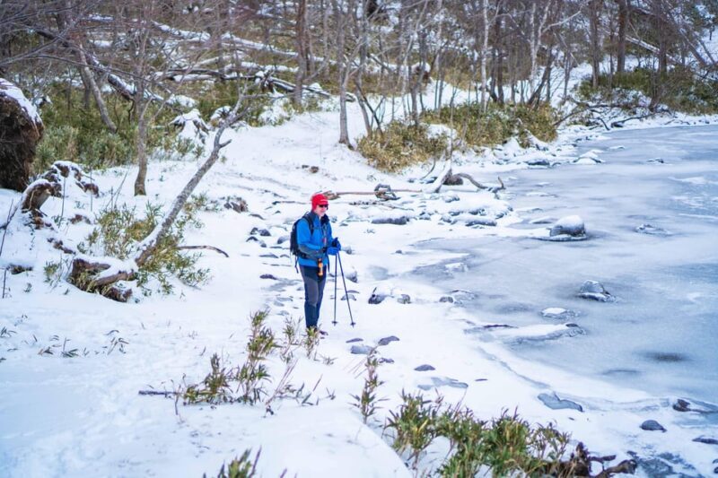 Lake Tachibana: Snowshoe to a frozen lake! - What the Reviews Say