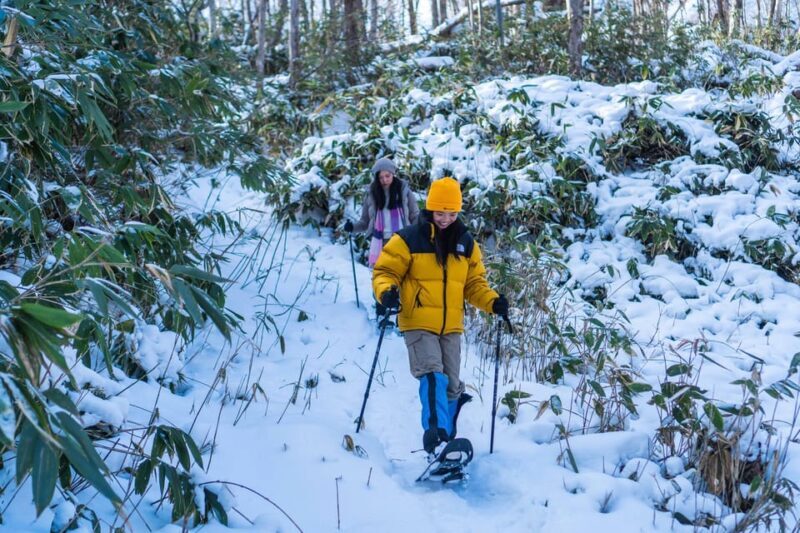 Lake Tachibana: Snowshoe to a frozen lake! - Who Should Consider This Tour?