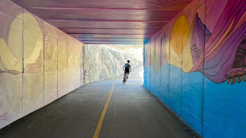 Lake Tahoe: Electric Bike Rental - Who Would Love This Tour?