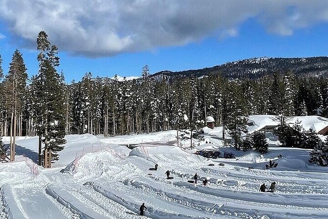 Lake Tahoe Full day Private Tour from Cupertino - The Sum Up: Who Is This Tour Ideal For?