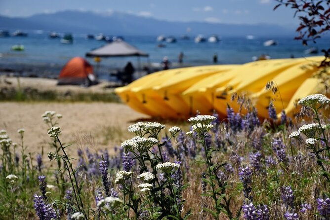 Lake Tahoe: North Shore Kayak Rental - Discovering Lake Tahoe from the Water: The Full Experience