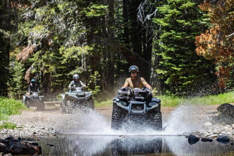 Lake Tahoe: Rubicon Trail Guided Off Road ATV Tour - Whats Included and Whats Not