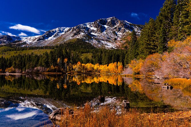 Lake Tahoe Small-Group Photography Scenic Half-Day Tour - Customer Reviews and Host Response