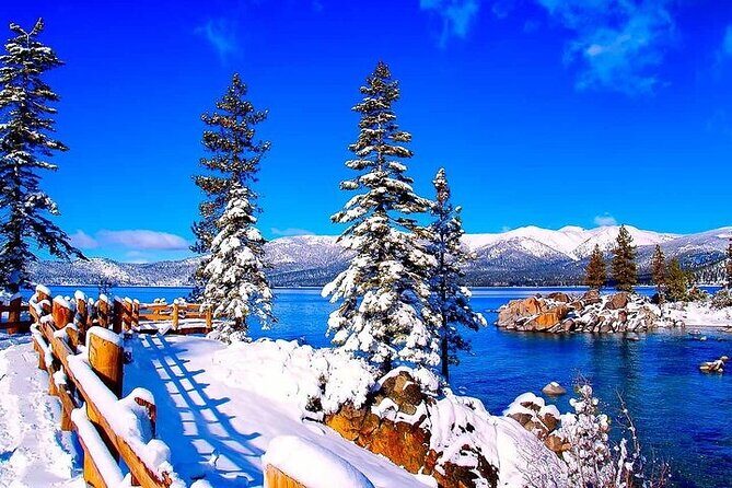 Lake Tahoe Small Group Tour from Cupertino - The Sum Up