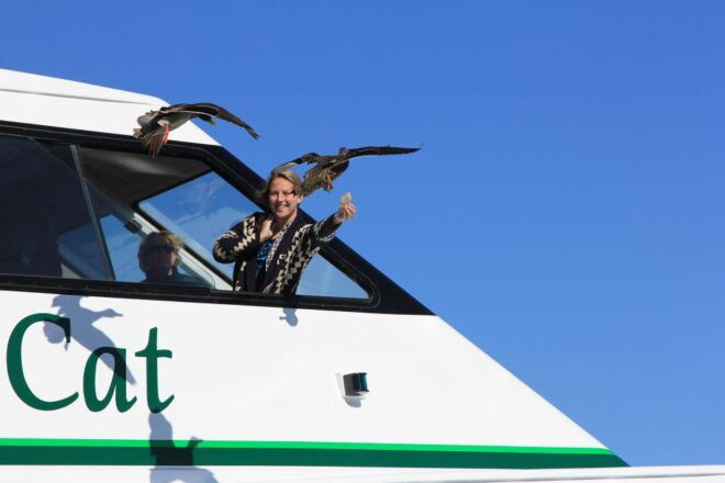 Lake Taupo: 1.5-Hour Maori Rock Carvings 5:00 PM Cruise - Important Information and Requirements