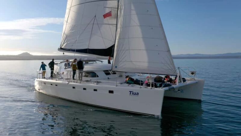 Lake Taupo: Luxury Sailing Catamaran to Mori Rock Carvings - A Scenic Journey on Lake Taupos Most Luxurious Catamaran