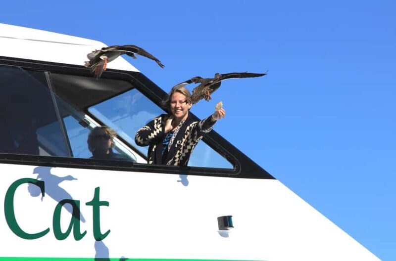 Lake Taupo: Maori Rock Carvings 8.30 AM 1.5-Hour Cruise - Good To Know