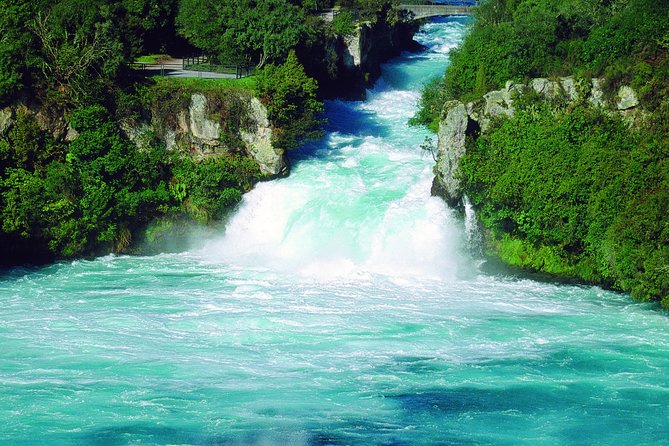 Lake Taupō Private Day Tour From Auckland to MāOri Rock Carvings - The Sum Up