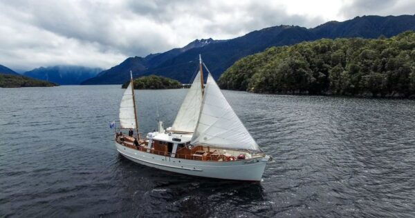 Lake Te Anau: 3-Hour Boat Cruise With Guided Walk - The Sum Up