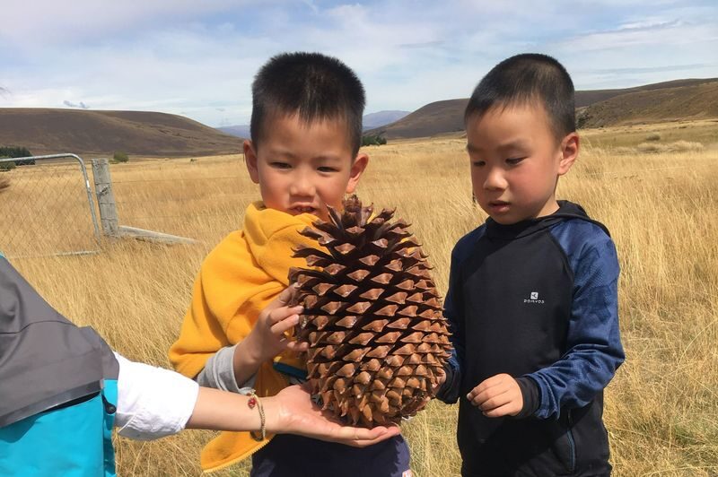 Lake Tekapo Farm Tour - How the tour suits families and curious visitors