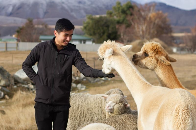 Lake Tekapo Farm Tour - What the price includes, and what it doesn’t