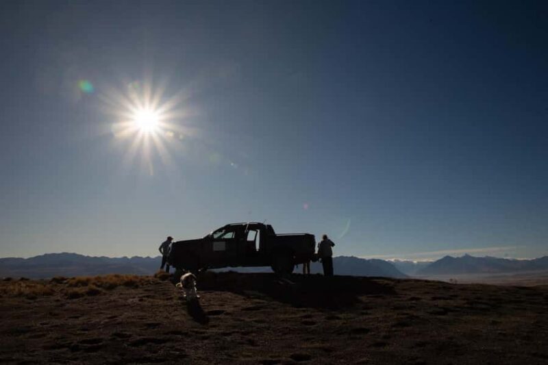 Lake Tekapo Guided 4WD Tours (Small Group, Carbon Positive) - FAQs