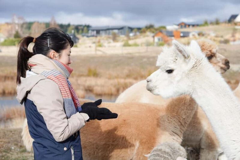 Lake Tekapo: Guided Petting Zoo Visit - What to Expect from the Tour