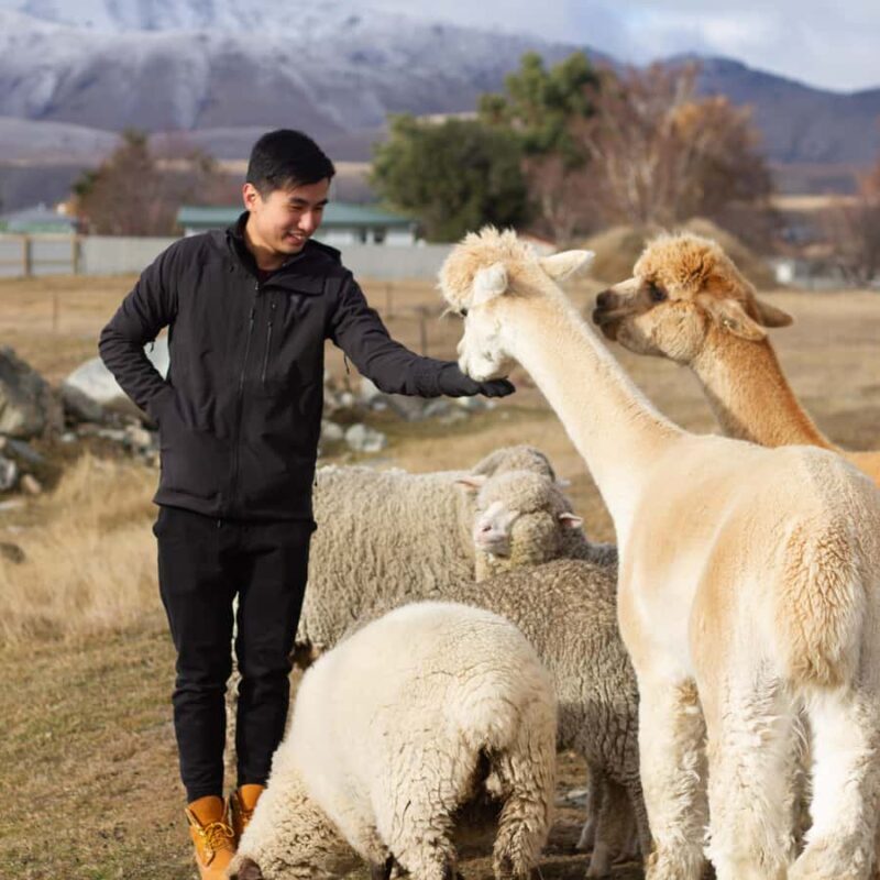 Lake Tekapo: Guided Petting Zoo Visit - Value and Overall Impression