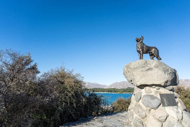 Lake Tekapo & Mt. Cook the Ultimate Day tour from Christchurch - Who is This Tour Best For?